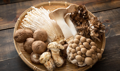  Mushrooms: Marvelous Food
