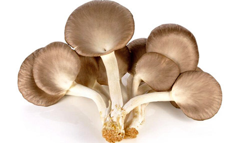 Let's get to know Fairy mushroom-Bhutan by Crispy Mushroom Chew Chew